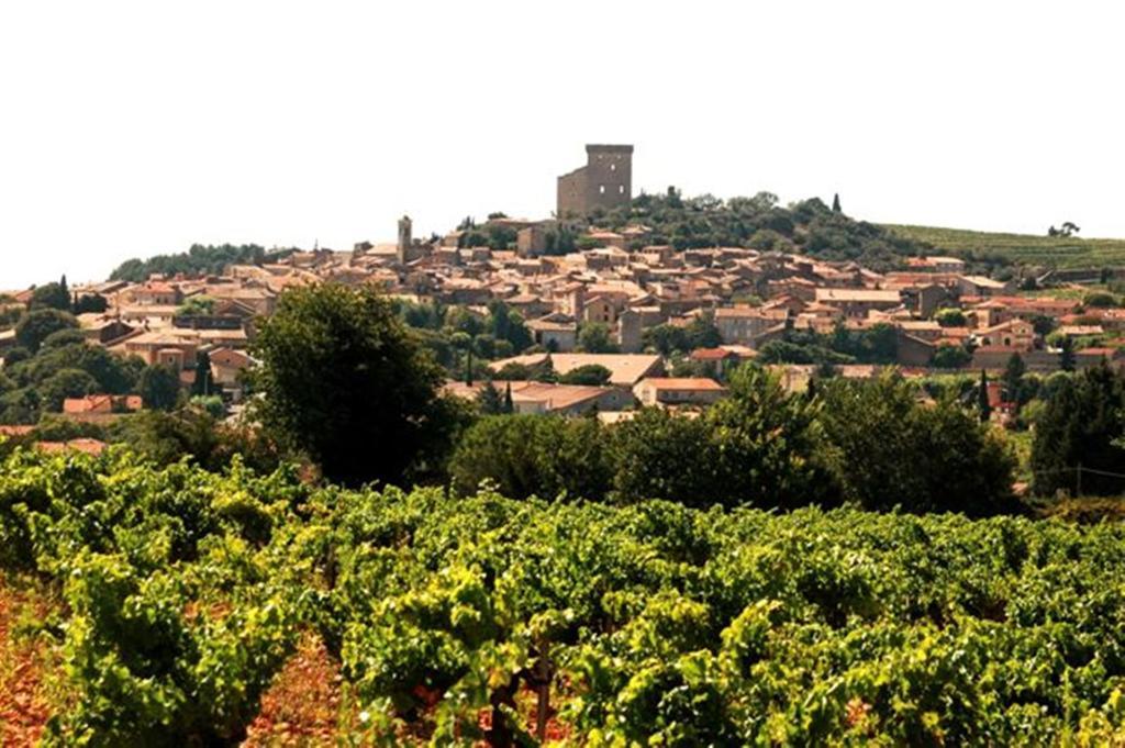Le Mas De L'Amandier Saint-Saturnin-les-Avignon ภายนอก รูปภาพ